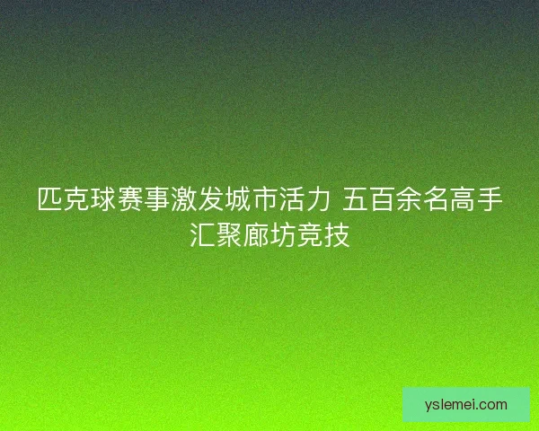 匹克球赛事激发城市活力 五百余名高手汇聚廊坊竞技